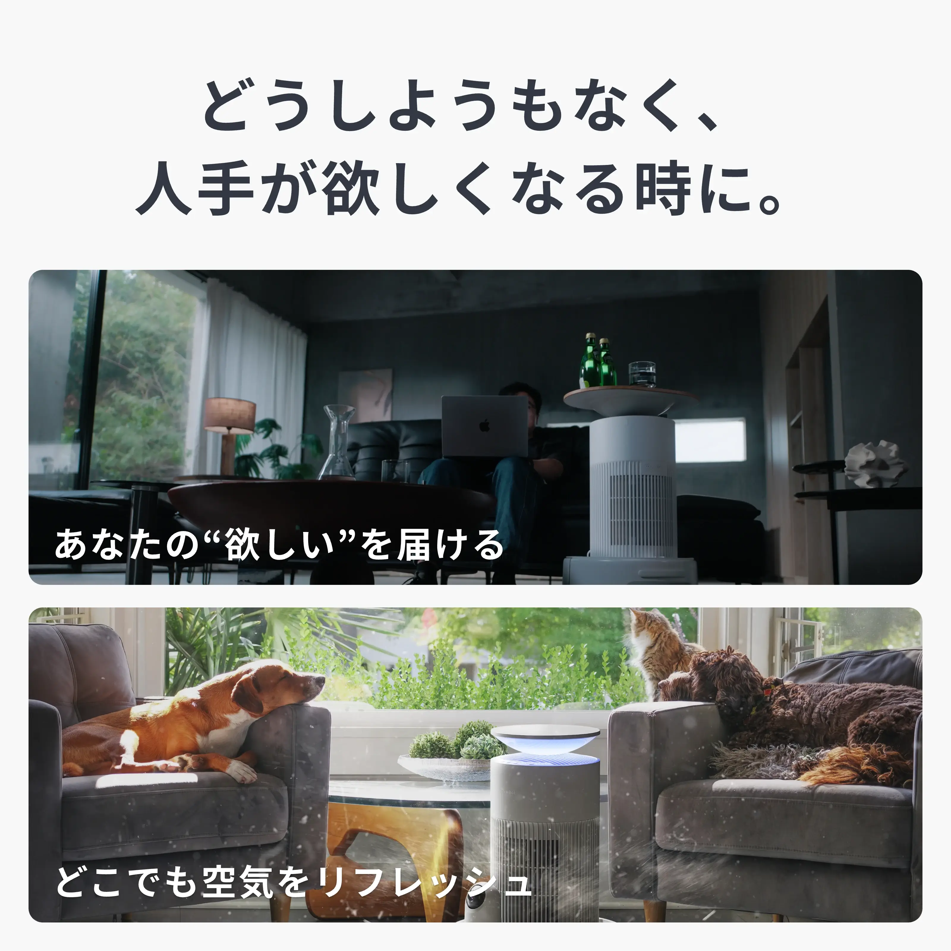 SwitchBot マルチタスク家庭用ロボットK20+Pro - Image 4